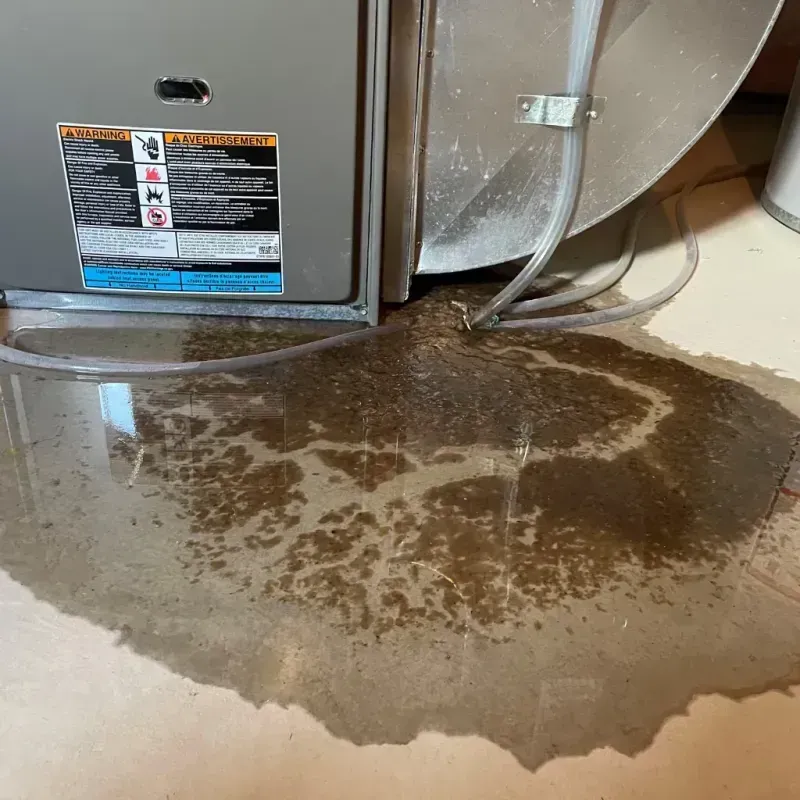 Appliance Leak Cleanup in Alton, TX